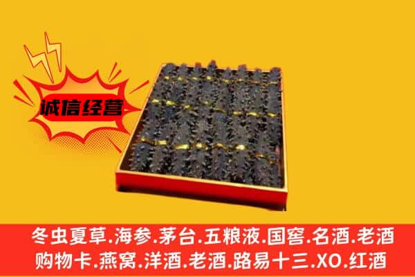 秦皇岛市海港回收海参